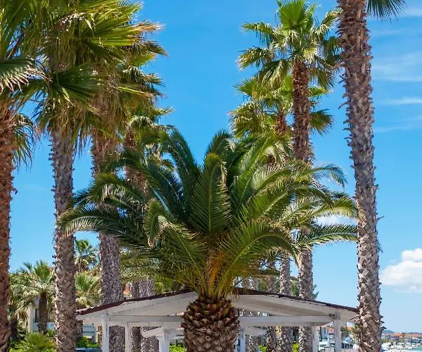 Tridente Mare Πευκοχώρι